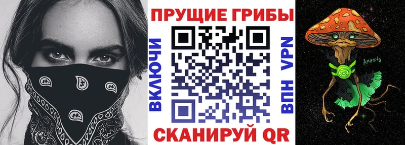 hydra ТОР  Гатчина  Псилоцибиновые грибы мухоморы 